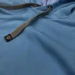 Толстовка Tolstoywear, голубая