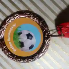 Медаль сувенирная