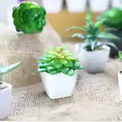 Черный цветы декоративные для интерьера