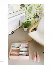 Кофр для обуви 53 х 40 х 15 см, 6 ячеек, Каир