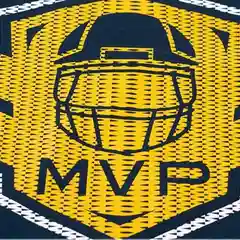 Лонгслив для мальчика с принтом и надписью "MVP"
