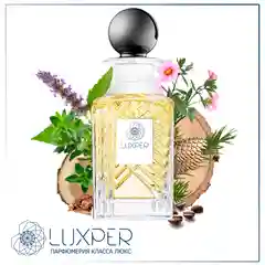 Духи Luxper №19 направление Kabul Aoud парфюмированная вода, масло