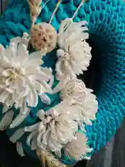 Сухоцветы декоративные