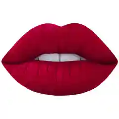 Устойчивая профессиональная помада just lip gloss