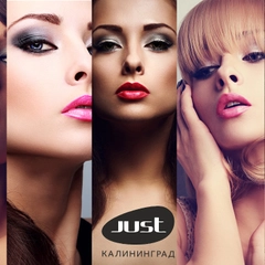 Устойчивая профессиональная помада just lip gloss
