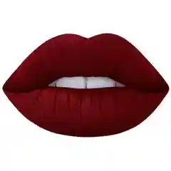 Устойчивая профессиональная помада just lip gloss