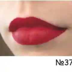 Багровый устойчивая профессиональная помада just lip gloss