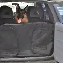 Автогамак для перевозки собак, в багажник  усиленный , водонепронецаемый 77053