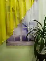 Штора для кухни "Дарина" желтый