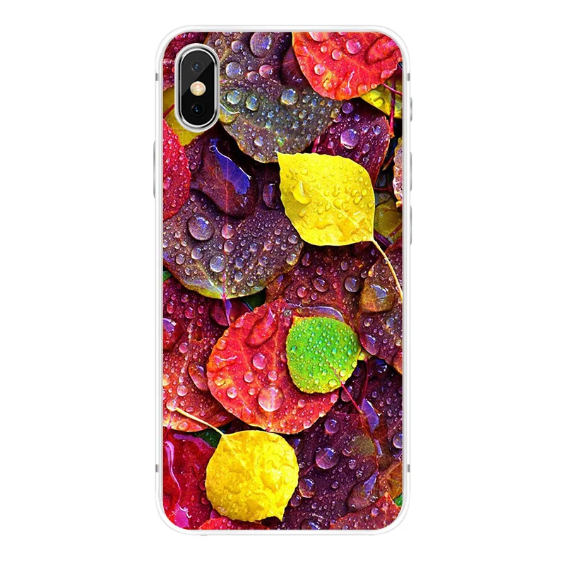 Чехол для Apple iPhone 6/6s / 6 Plus/6s Plus / 7/8 / 7 Plus/8 Plus / 11 / 11 PRO / 11 PRO MAX / XS Max / XR / X/XS силиконовый Природа