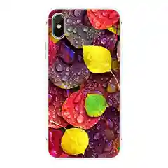 Чехол для Apple iPhone 6/6s / 6 Plus/6s Plus / 7/8 / 7 Plus/8 Plus / 11 / 11 PRO / 11 PRO MAX / XS Max / XR / X/XS силиконовый Природа