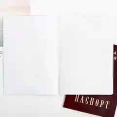 Обложка на паспорт "Панды"