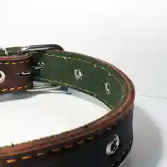 Ошейник из натуральной кожи для собак