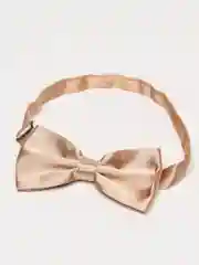 Подтяжки с бабочкой