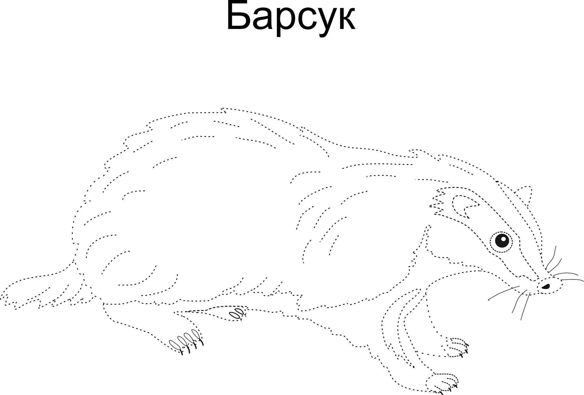 Мир Животных. Я рисую и раскрашиваю