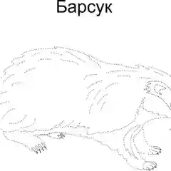 Мир Животных. Я рисую и раскрашиваю