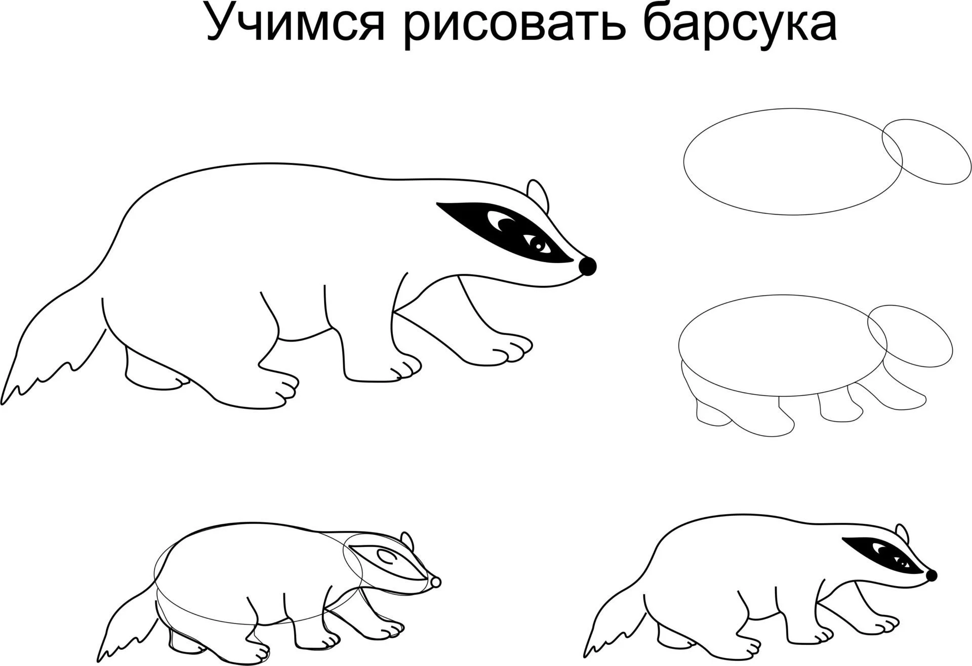 Мир Животных. Я рисую и раскрашиваю