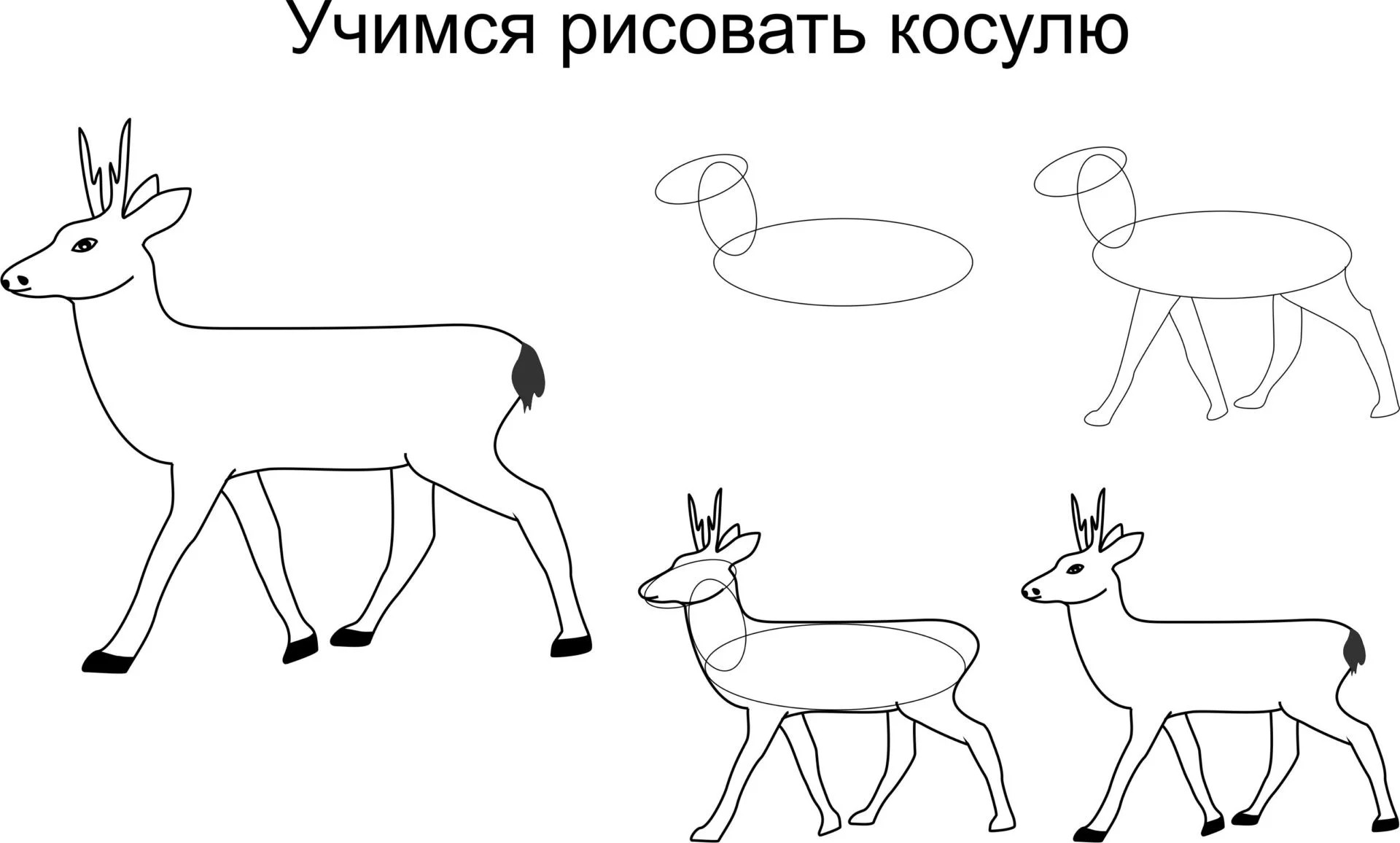 Мир Животных. Я рисую и раскрашиваю