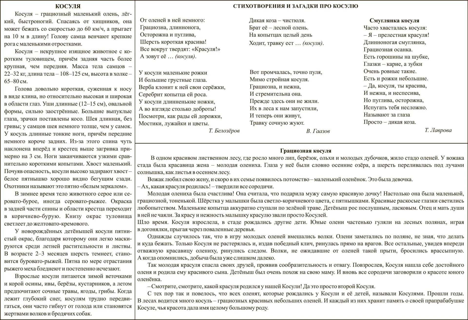 Мир Животных. Я рисую и раскрашиваю