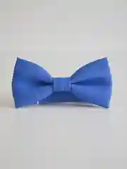 Зеленый однотонная мужская бабочка