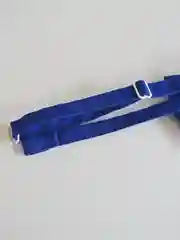 Зеленый однотонная мужская бабочка
