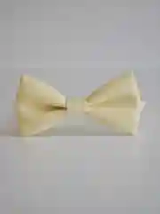Белый однотонная мужская бабочка
