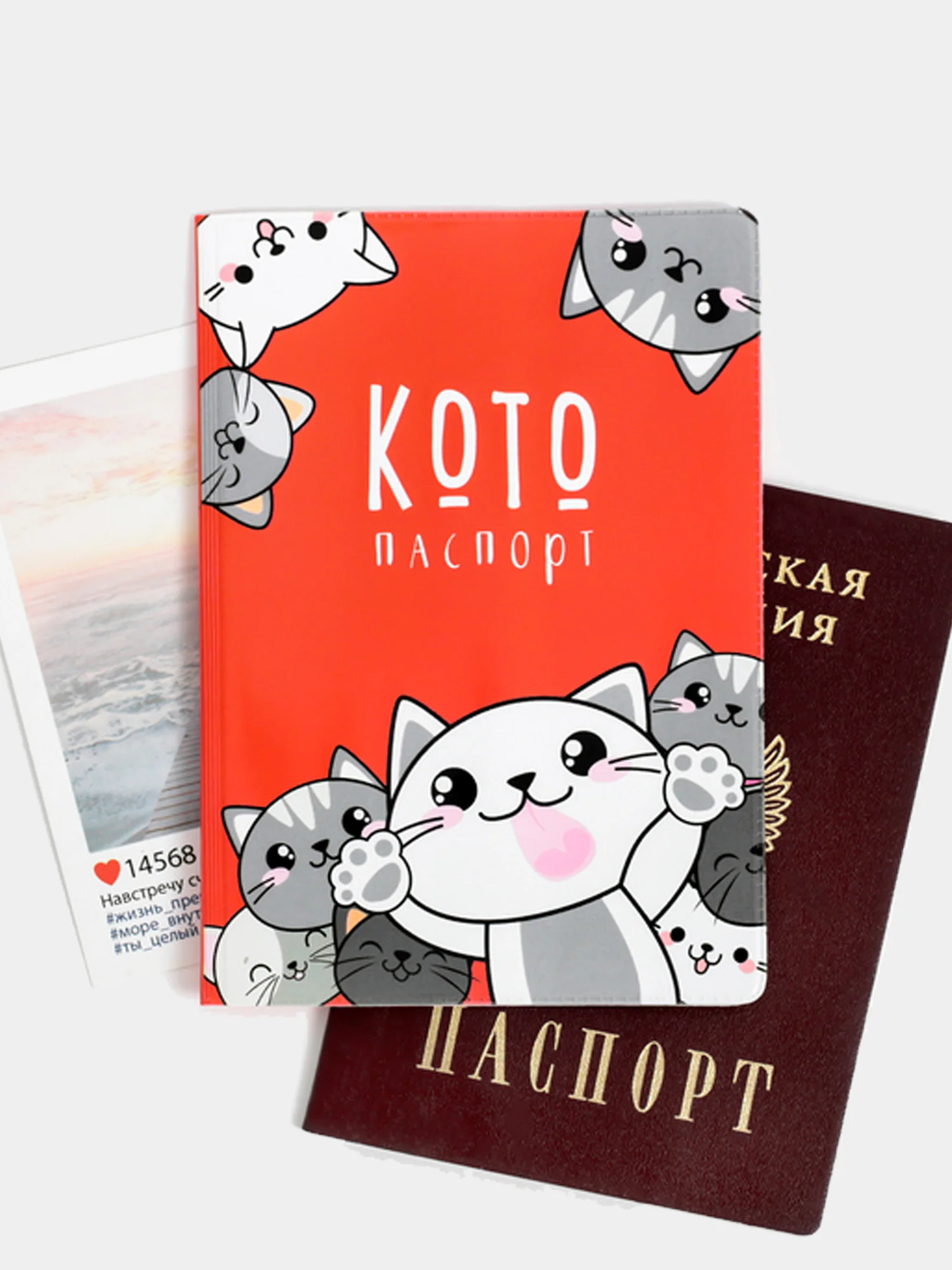 Обложка на паспорт ПВХ "Котопаспорт"