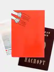 Обложка на паспорт ПВХ "Котопаспорт"