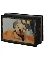 Шкатулка Собаки лаковая миниатюра