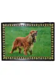 Бежевый шкатулка Собаки лаковая миниатюра
