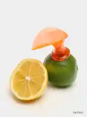 Насадка для отжима сока из цитрусовых