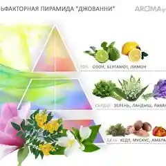 Картридж с арома-маслом для аппарата AROMAgroup Spa 200, аромат "Джованни", 110 мл.