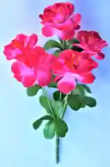 КАМЕЛИЯ ( букет )
