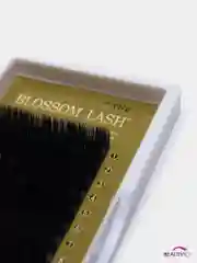 Ресницы L+ Blossom Lash silk для объемного наращивания