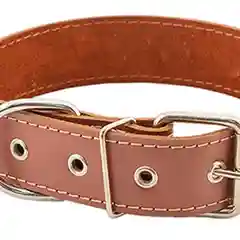 Ошейник кожаный для собак