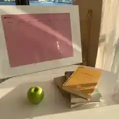 Planer в цвете "Light Pink"