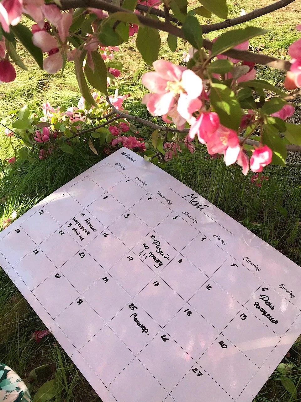 Planer в цвете "Light Pink"