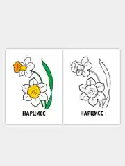 Хаки раскраски для малышей по образцу "Мои первые раскраски"