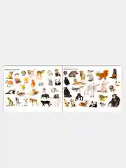 Белый книжки "100 наклеек" развивающие задания