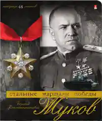 Тетради 48л. набор 5шт