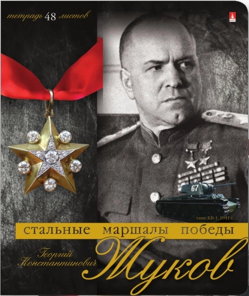 Тетради 48л. набор 5шт