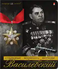 Тетради 48л. набор 5шт