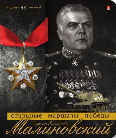 Тетради 48л. набор 5шт