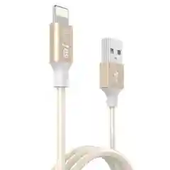 Dotfes / АЗУ Dotfes B03s 2xUSB, 4.8A + кабель Lightning gold