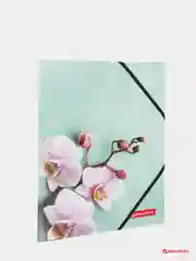 Папка на резинках BRAUBERG "FLOWER", А4, цветная печать
