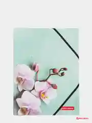 Папка на резинках BRAUBERG "FLOWER", А4, цветная печать