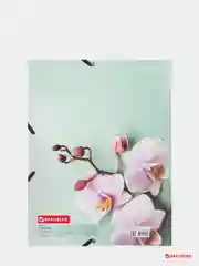 Папка на резинках BRAUBERG "FLOWER", А4, цветная печать