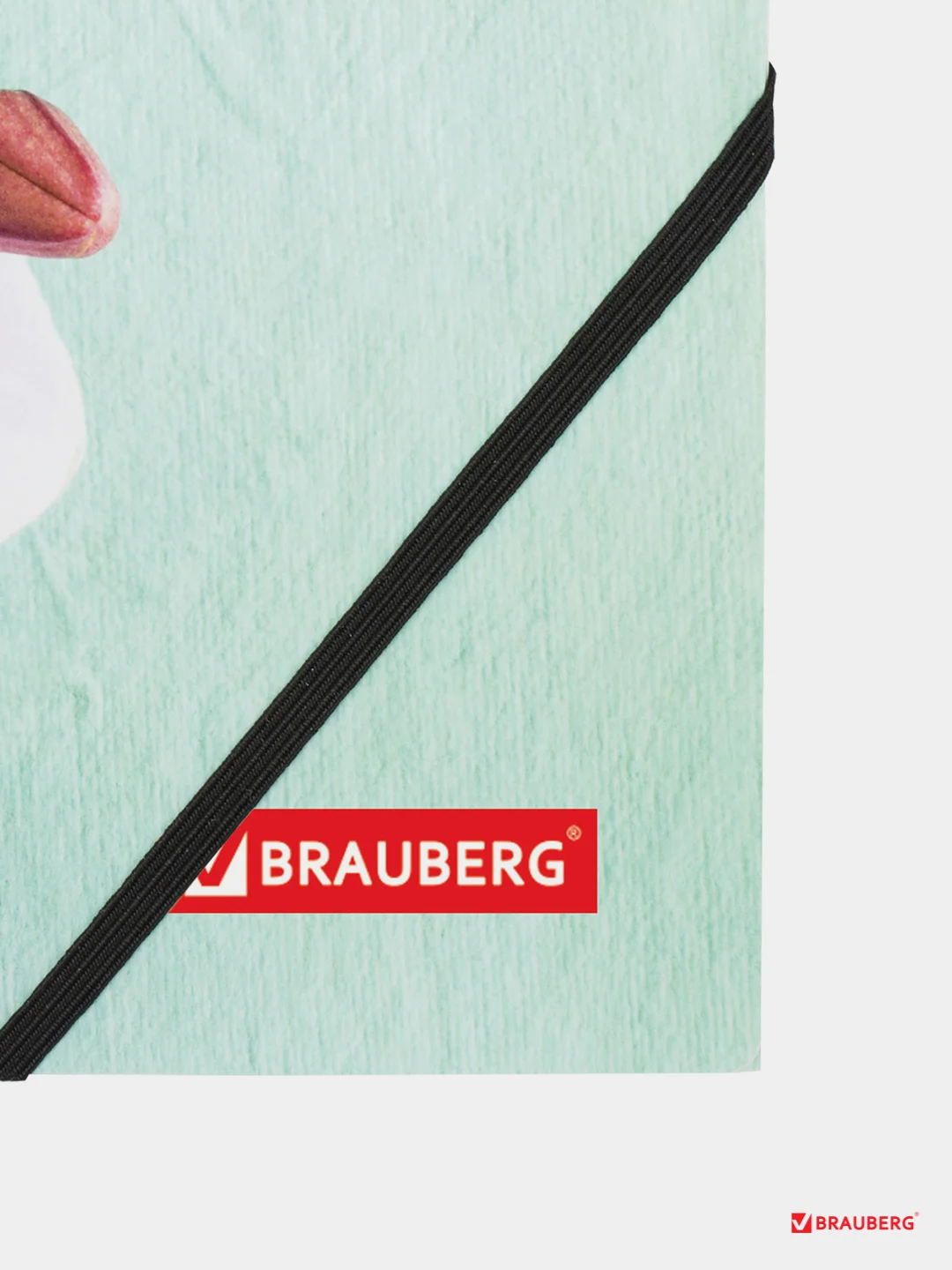 Папка на резинках BRAUBERG "FLOWER", А4, цветная печать