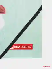 Папка на резинках BRAUBERG "FLOWER", А4, цветная печать