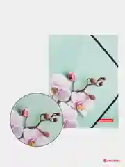 Папка на резинках BRAUBERG "FLOWER", А4, цветная печать